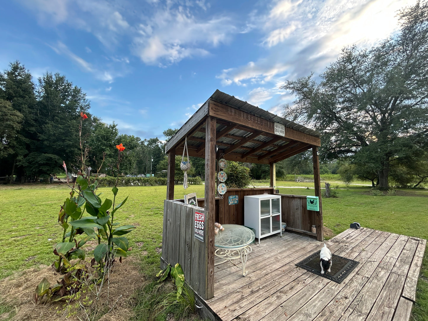 4oz Beauty Berry Jelly