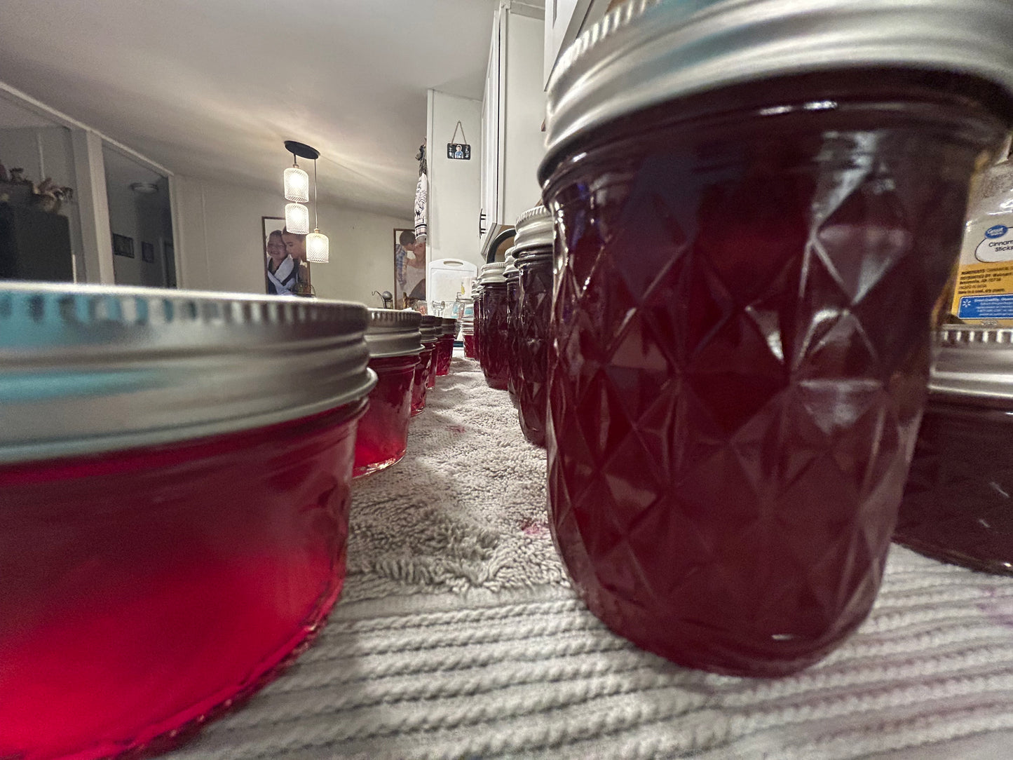 4 oz Muscadine Grape Jelly