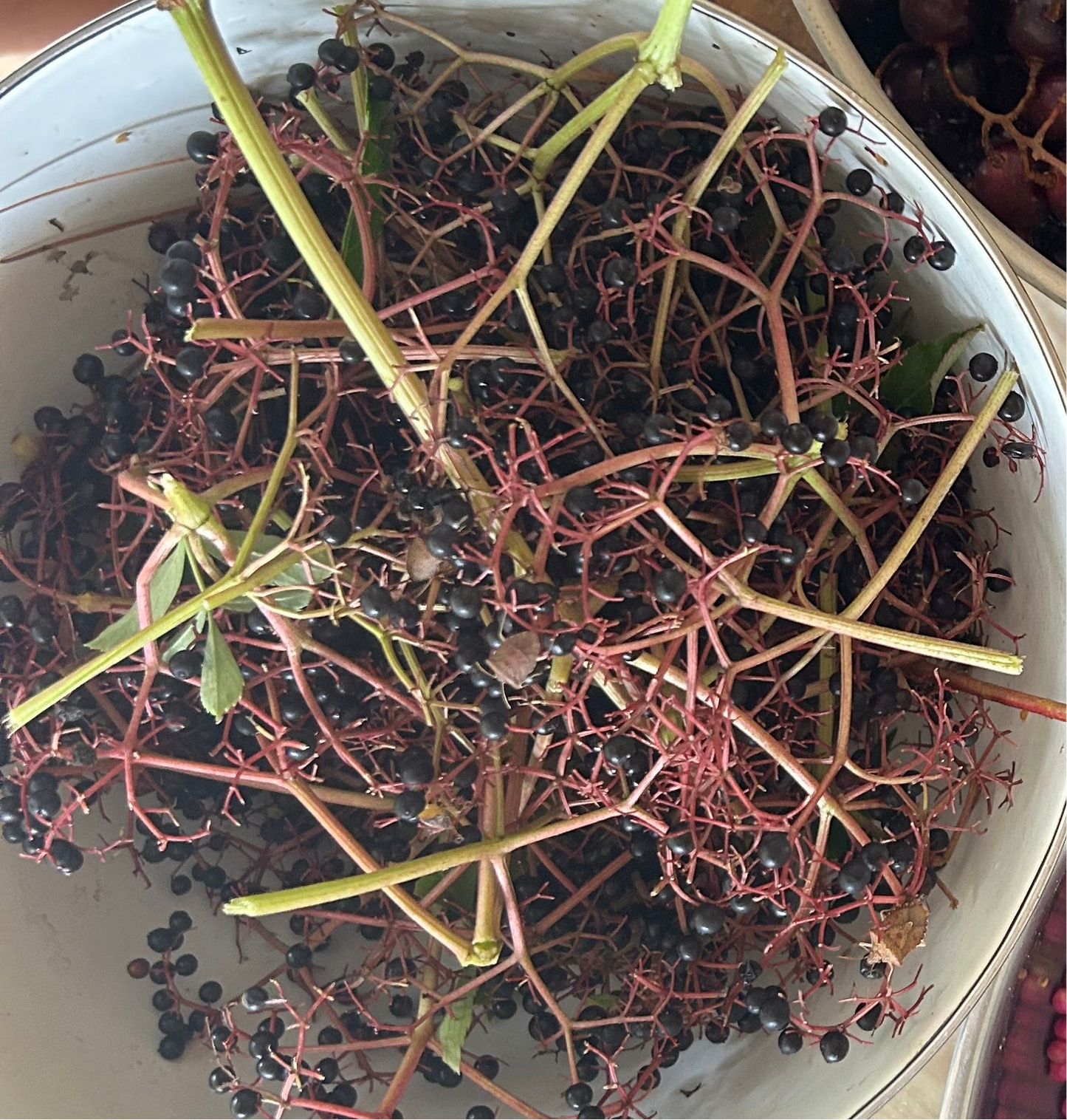 Elderberry jelly 8 oz