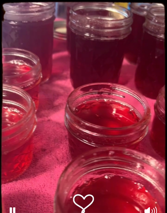 Elderberry jam 4 oz