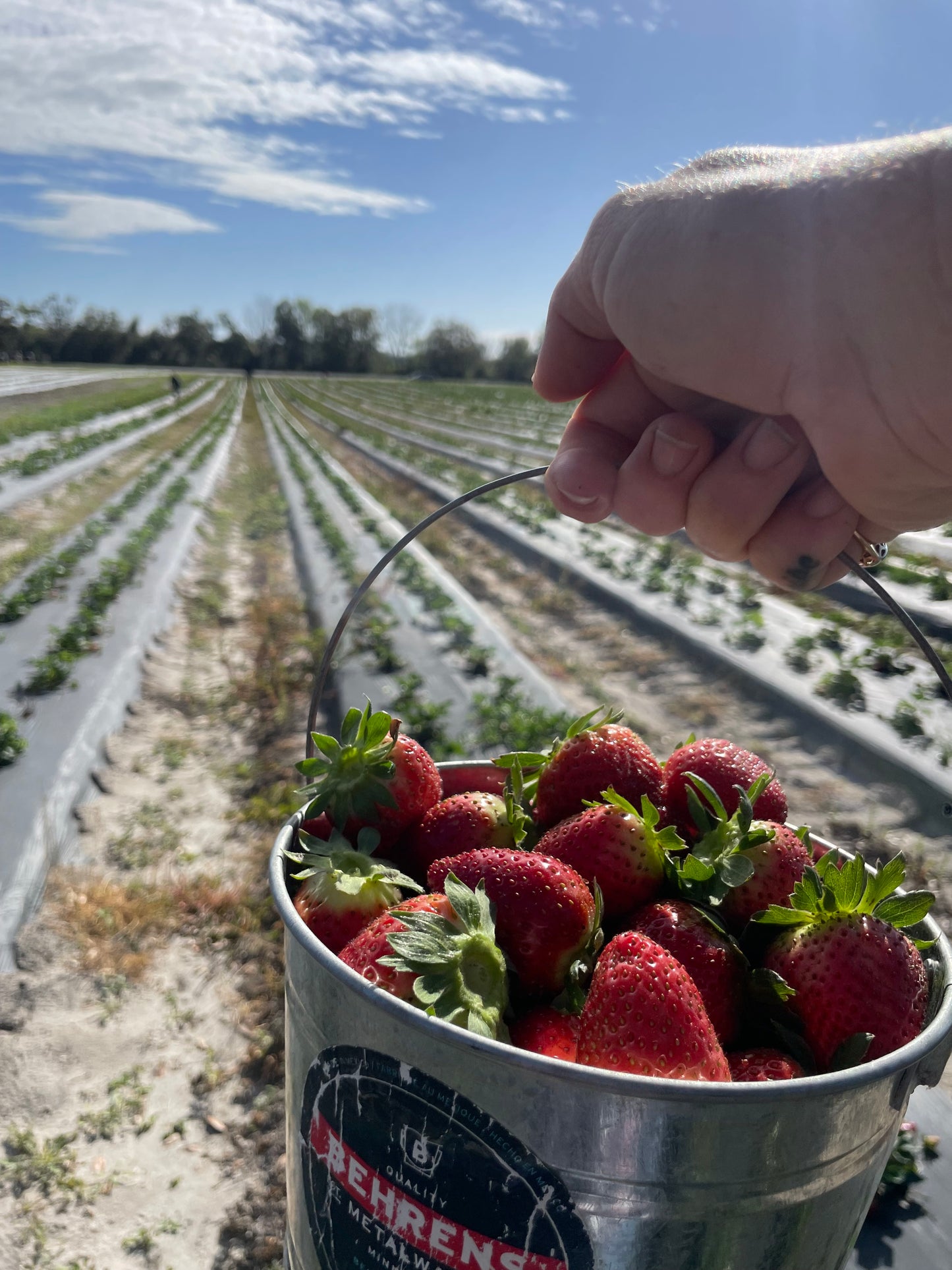 Strawberry Jalapeno Jam 4 oz