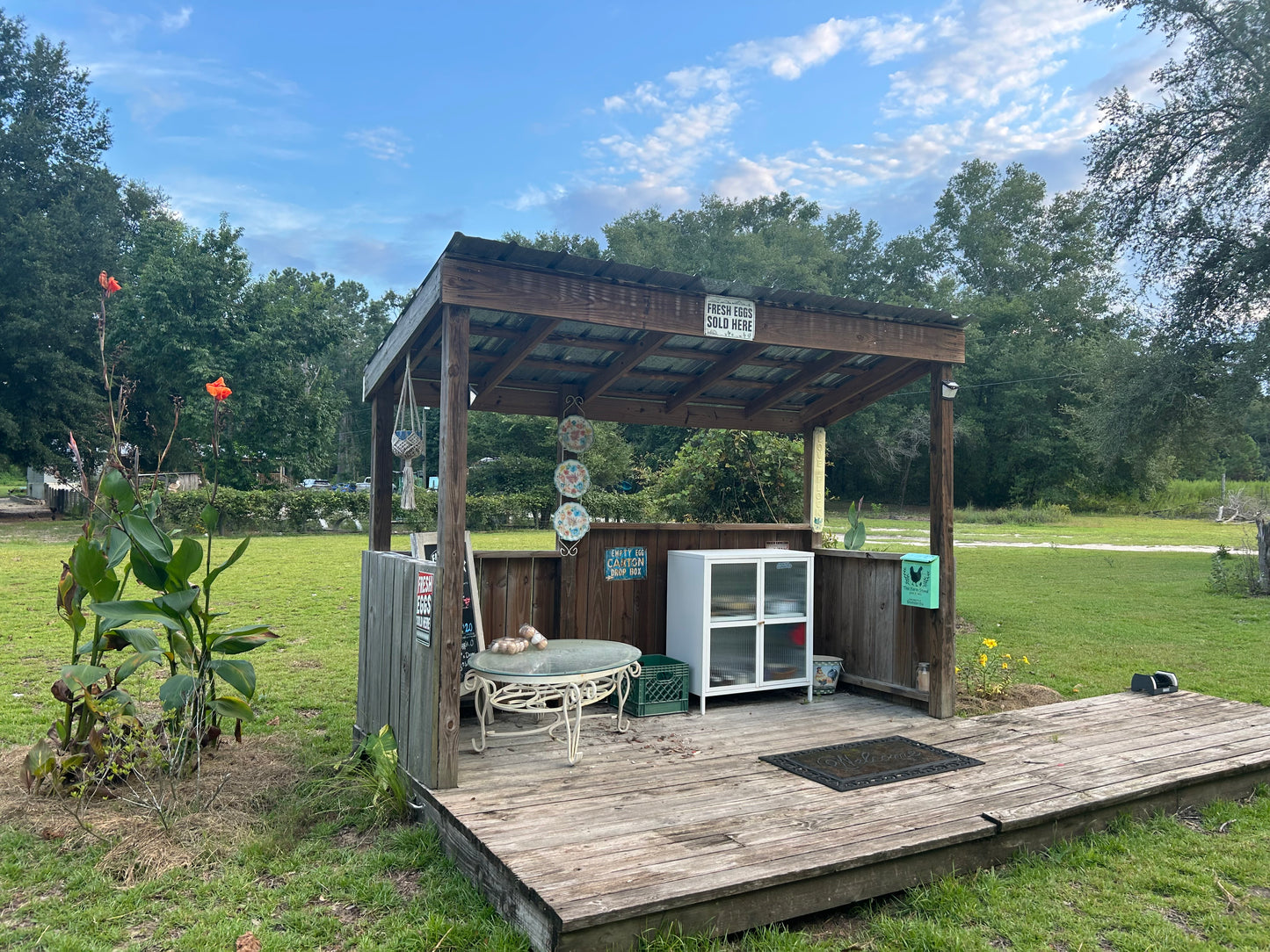 8 oz Beauty Berry Jelly