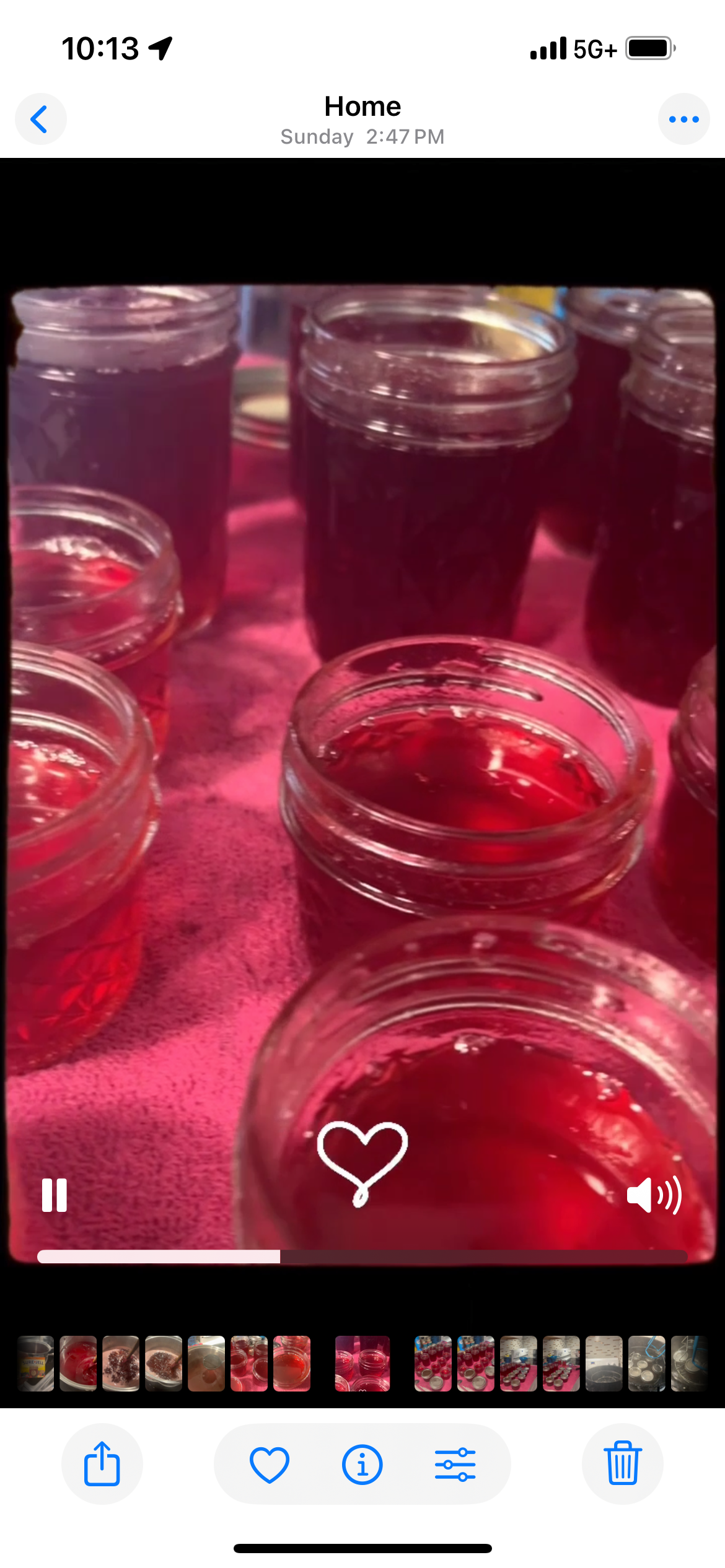 8 oz Beauty Berry Jelly