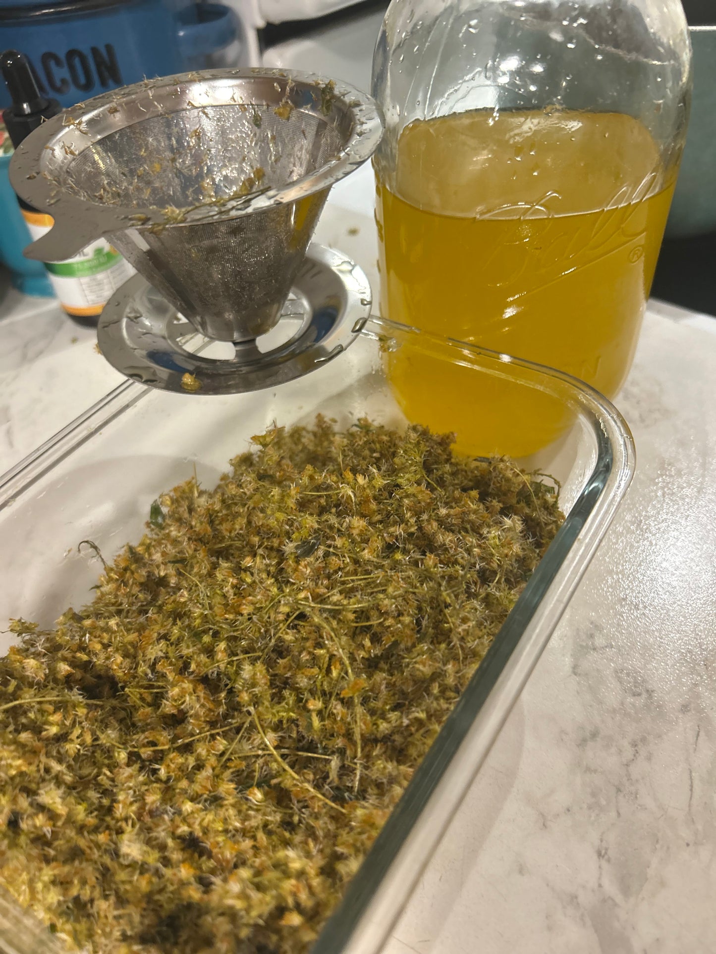 GoldenRod Salve Balm 2 oz tins