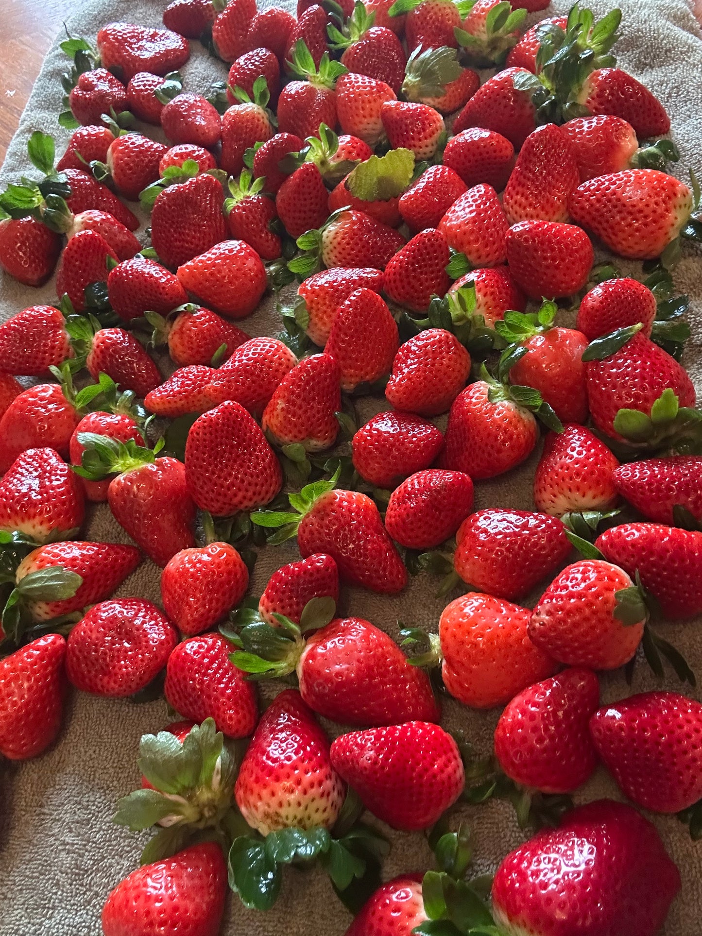 Strawberry Jam 8 oz Farm Fresh Picked Strawberries