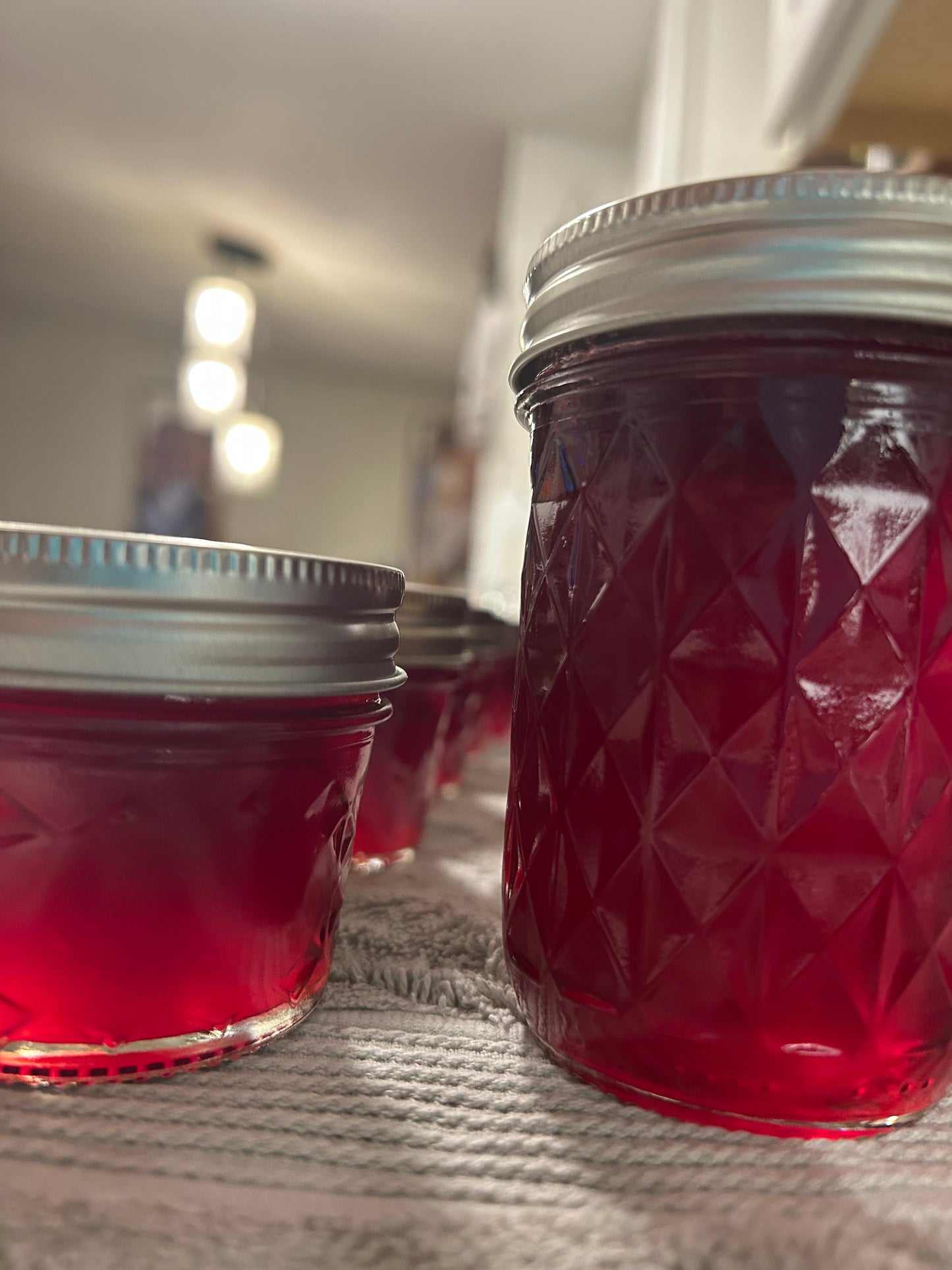 Muscadine Grape Jelly 8oz