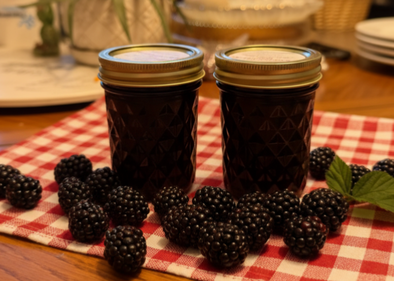 BlackBerry Jelly (seedless jam)