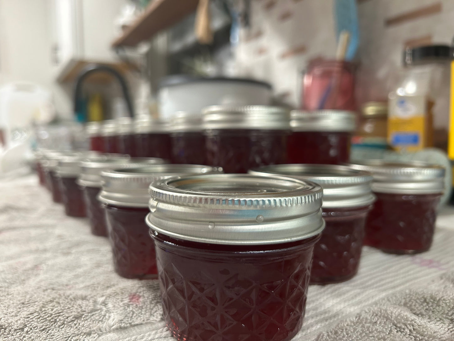 4 oz Muscadine Grape Jelly
