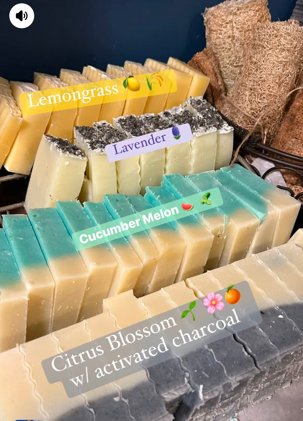 Citrus Blossom w/ Activated Charcoal Natural Soap Bar